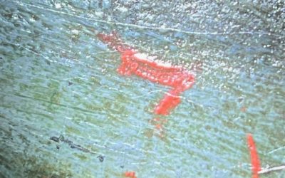 LEVANTAMIENTO DE ÚTIL: cuando un gesto interrumpido confirma la autenticidad del trazo